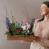 Весенний садик с первоцветами в длинном ящичке