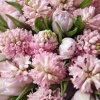 Букет розовых ароматных гиацинтов и тюльпанов