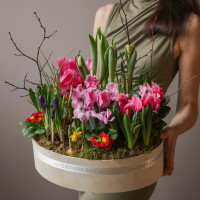 Весенний садик с первоцветами в деревянном кашпо размер М (40х35 см)