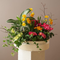 Зеленый сад с первоцветами в деревянном кашпо размер M (40х45см)