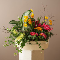 Зеленый сад с первоцветами в деревянном кашпо размер M (40х45см)