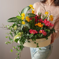 Зеленый сад с первоцветами в деревянном кашпо размер M (40х45см)