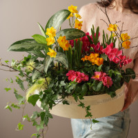 Зеленый сад с первоцветами в деревянном кашпо размер M (40х45см)