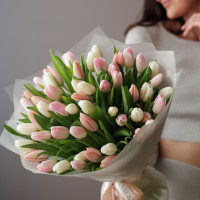 Букет нежных тюльпанов, 51 шт