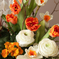 Композиция на парящей стеклянной подставке с тюльпанами, цикламенами и ранункулюсами