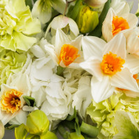 Весенний букет с нарциссами, тюльпанами и зеленым диантусом