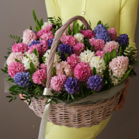 Букет ГИАЦИНТОВ в корзине, палитра в асс