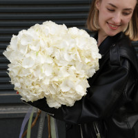 Букет гортензий