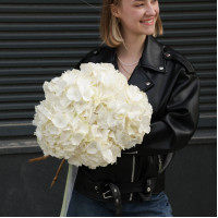 Букет гортензий