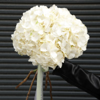 Букет гортензий