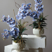 Голубые искусственные орхидеи в керамическом кашпо