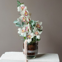 Композиция с орхидеями в стеклянной вазе, размер M