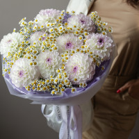 Букет с молочно-лавандовыми георгинами (9 шт.) и ромашками