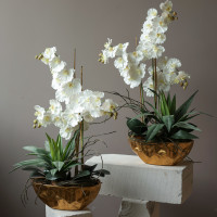 Композиция с белыми орхидеями и зеленью в кашпо