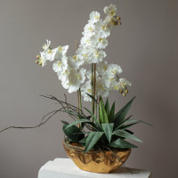 Композиция с белыми орхидеями и зеленью в кашпо