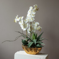 Композиция с белыми орхидеями и зеленью в кашпо
