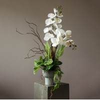 Белая орхидея  с декоративной зеленью в небольшом кашпо