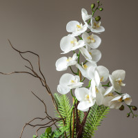 Белая орхидея  с декоративной зеленью в небольшом кашпо