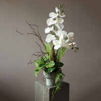 Белая орхидея  с декоративной зеленью в небольшом кашпо