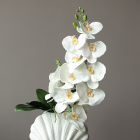 Сет композиций из белых орхидей в дизайнерской вазе "ракушка"