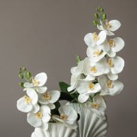 Сет композиций из белых орхидей в дизайнерской вазе "ракушка"