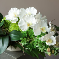 Композиция горизонтальная с белой орхидеей и декоративной зеленью