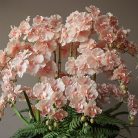 Композиция из обьемных розовых орхидеи в интерьер-премиум