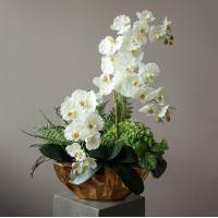 Композиция с белыми орхидеями и гортензией в дизайнерском кашпо