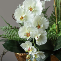 Композиция с белыми орхидеями и гортензией в дизайнерском кашпо