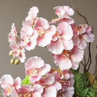 Композиция с розовыми орхидеями и зеленью в керамическом кашпо