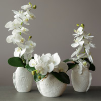 Сет белых орхидей в дизайнерских кашпо "рыбка"