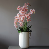 Напольное кашпо с розовыми орхидеями и зеленью высотой 130 см