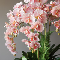 Напольное кашпо с розовыми орхидеями и зеленью высотой 130 см