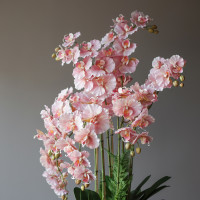 Напольное кашпо с розовыми орхидеями и зеленью высотой 130 см