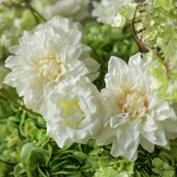 Пемиум букет с георгинами и зеленой гортензией в высокой вазе