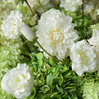 Пемиум букет с георгинами и зеленой гортензией в высокой вазе