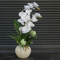 Композиция с белыми орхидеями и папоротником в дизайнерской вазе