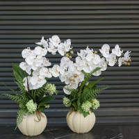 Композиция с белыми орхидеями и папоротником в дизайнерской вазе