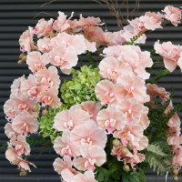 WOW напольная композиция  искусственных орхидей вазоне