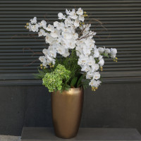 WOW-композиция напольная с белыми орхидеями в вазоне