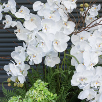 WOW-композиция напольная с белыми орхидеями в вазоне