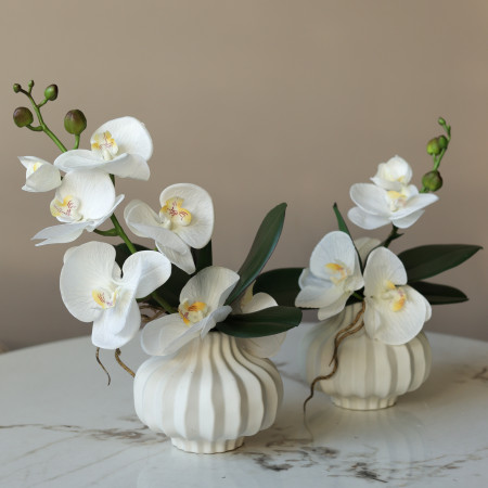 Пара настольных композиций с белыми орхидеями