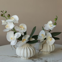 Пара настольных композиций с белыми орхидеями