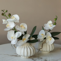 Пара настольных композиций с белыми орхидеями