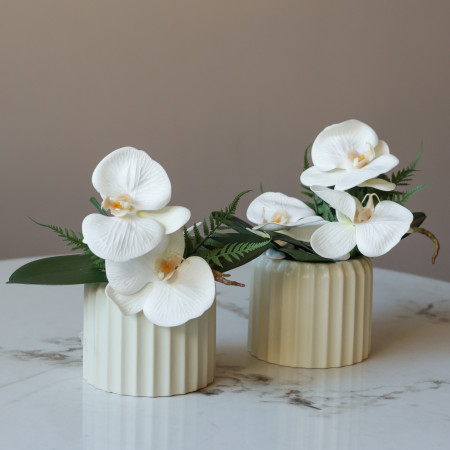 Пара настольных композиций с белыми орхидеями в граненых вазах