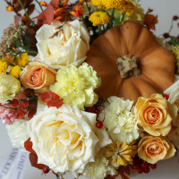 Яркая жёлто-оранжевая композиция в настоящей тыкве с облепихой