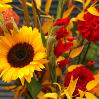 Букет с подсолнухами и книфофией