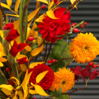 Букет с подсолнухами и книфофией