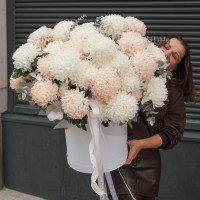 Огромная * коробка зефирных хризантем* 55 шт.