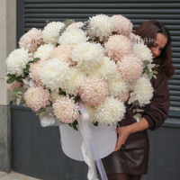 Огромная * коробка зефирных хризантем* 55 шт.